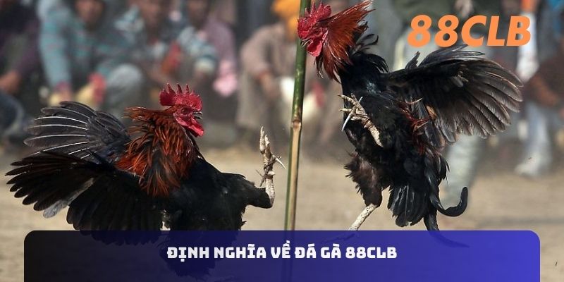 Định nghĩa về đá gà 88CLB