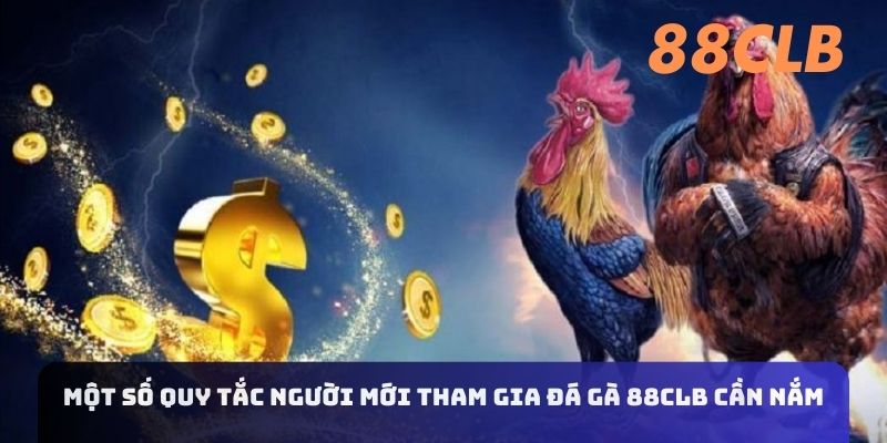 Một số quy tắc người mới tham gia đá gà 88CLB cần nắm