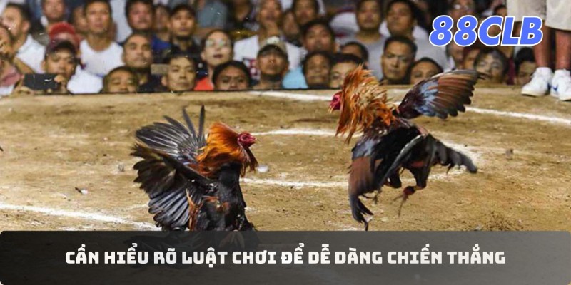 Cần hiểu rõ luật chơi để dễ dàng chiến thắng